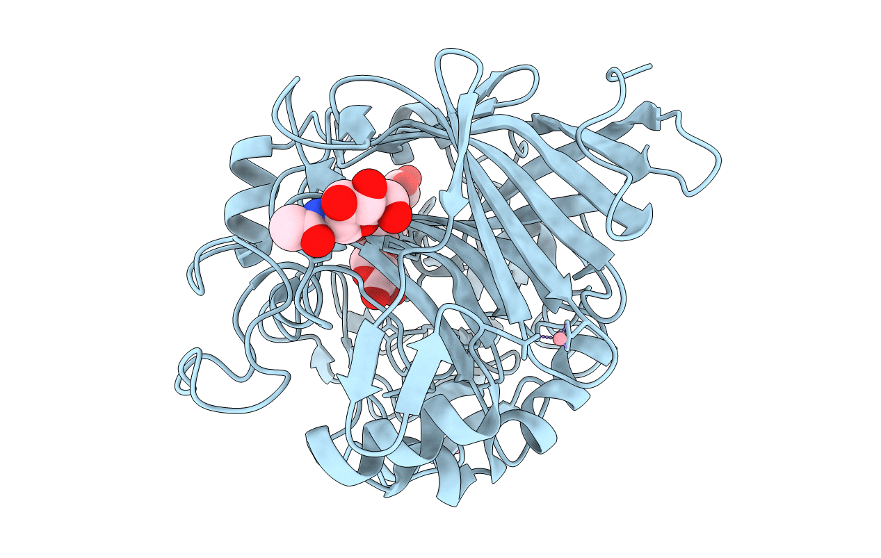 4D5P image