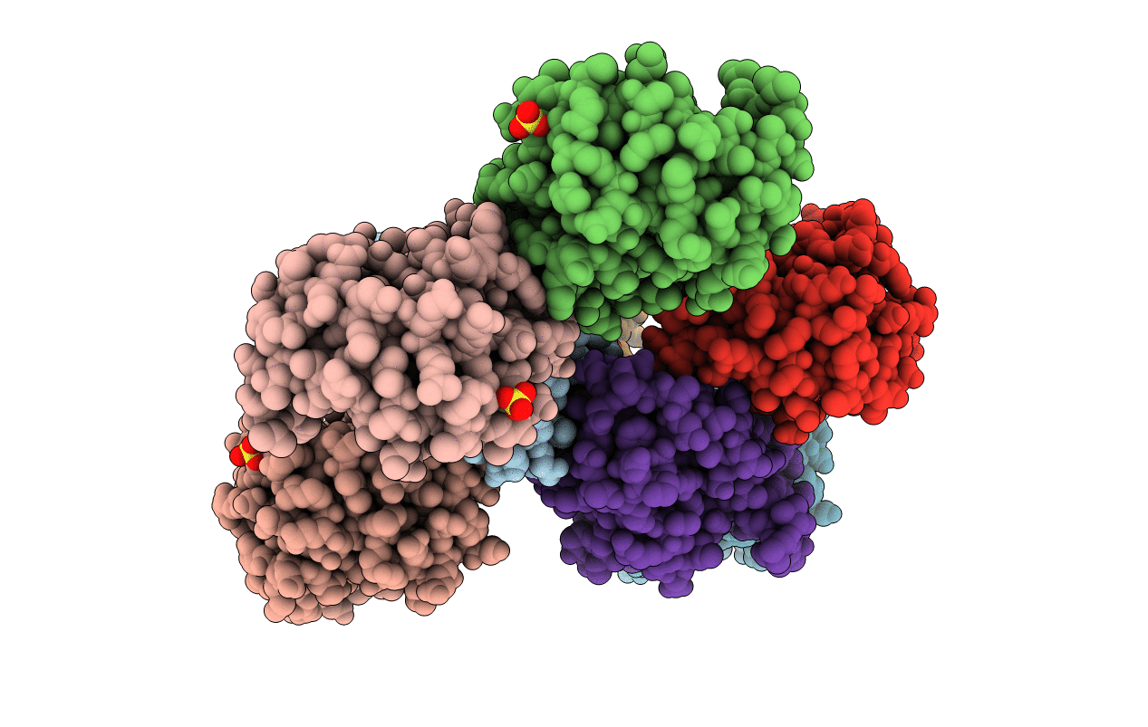 4D5T image