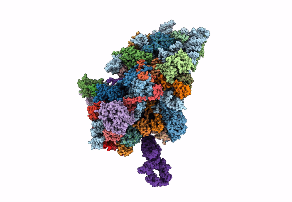4D61 image