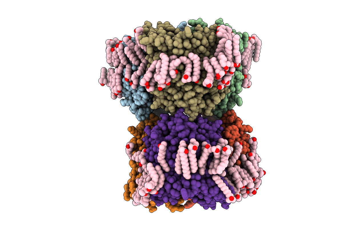 4D65 image