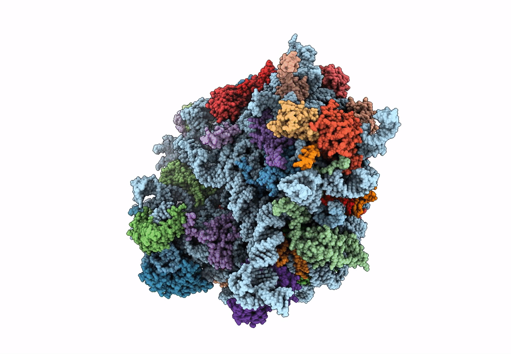 4D67 image