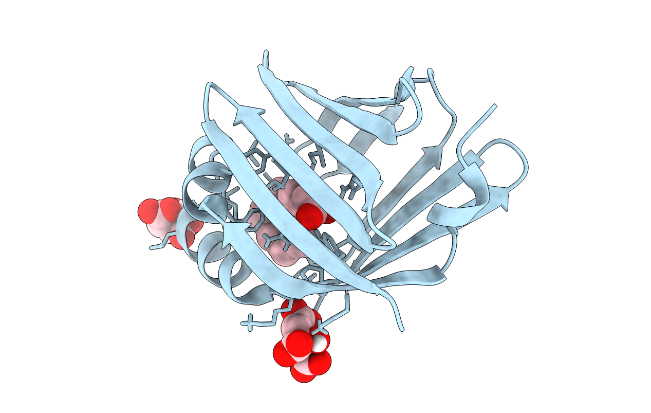 4D6A image
