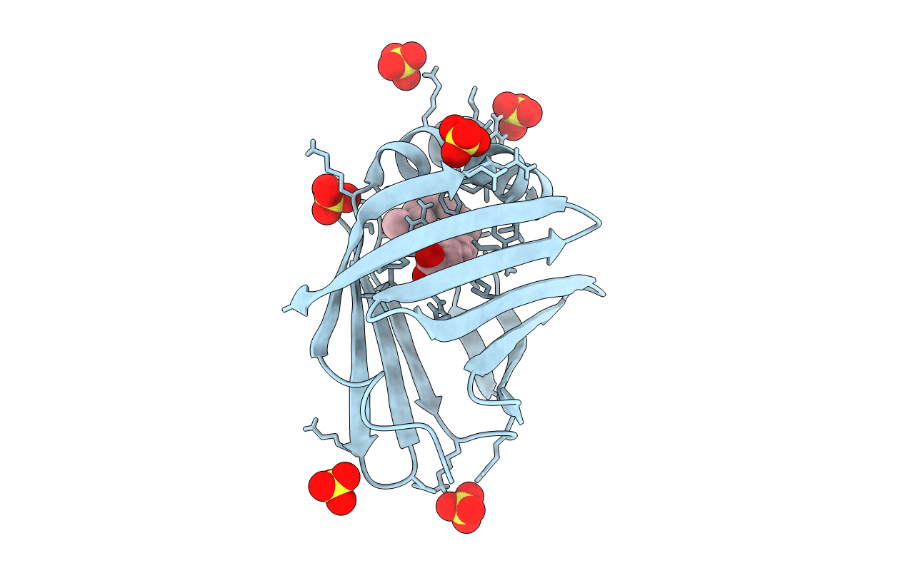 4D6B image