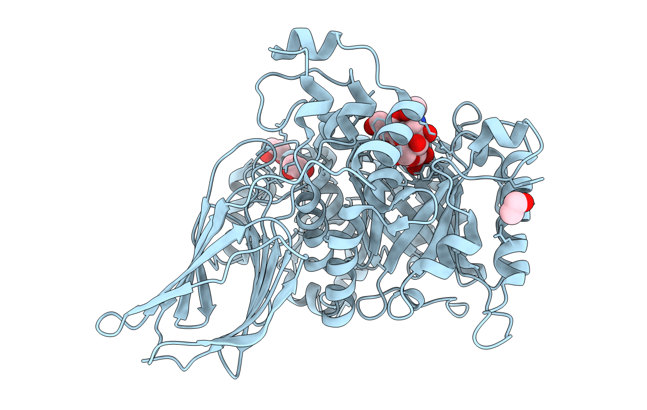 4D6D image