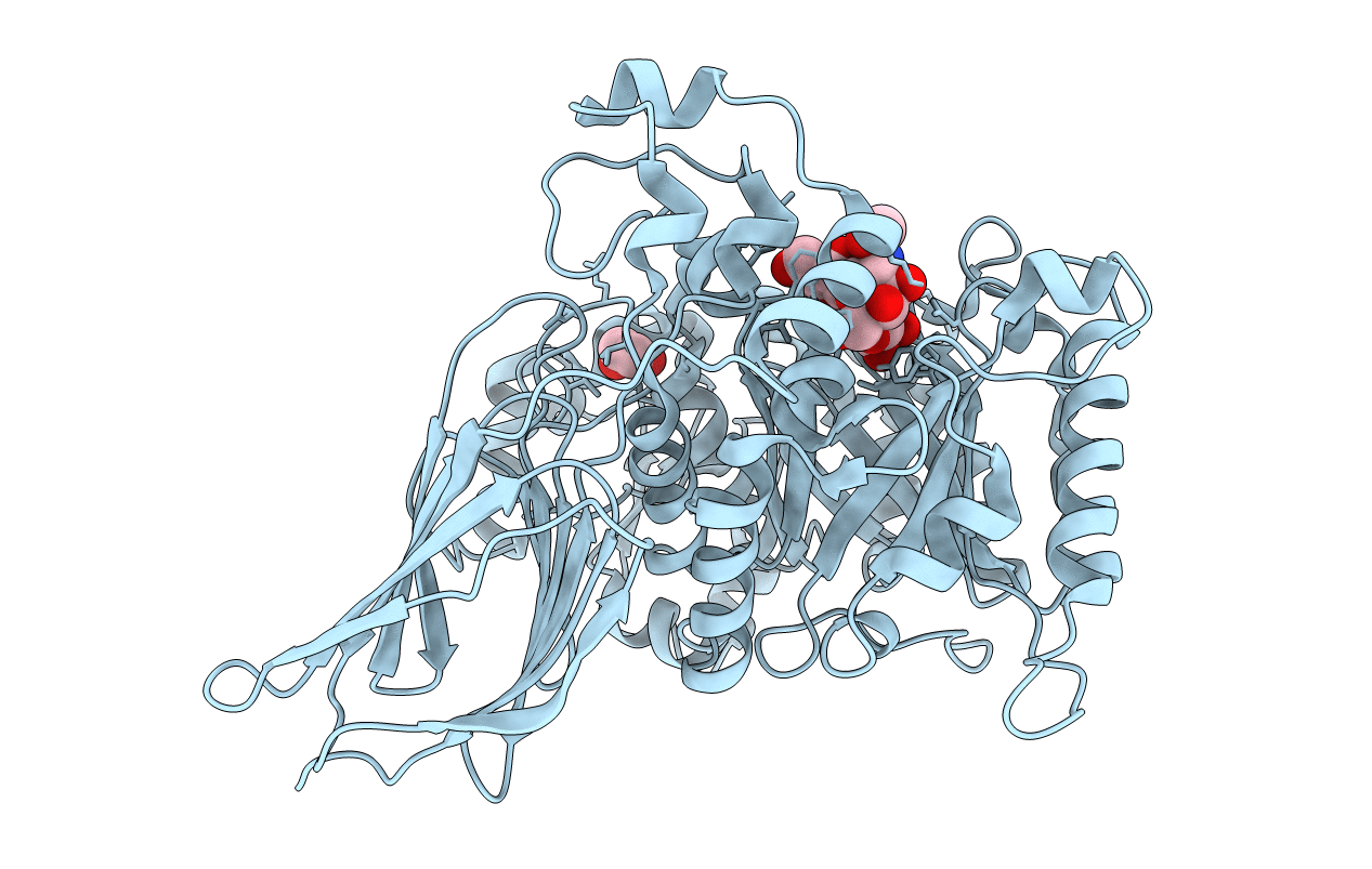 4D6G image