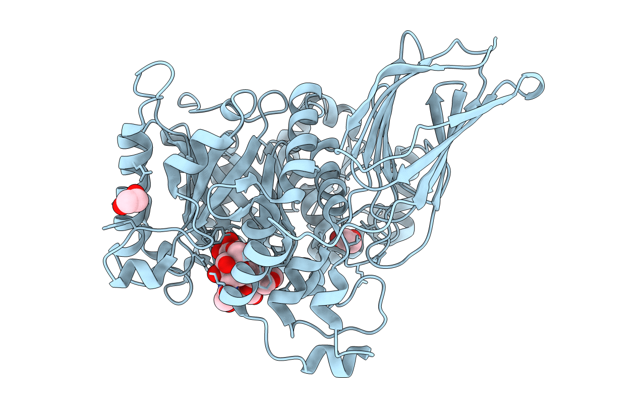 4D6I image