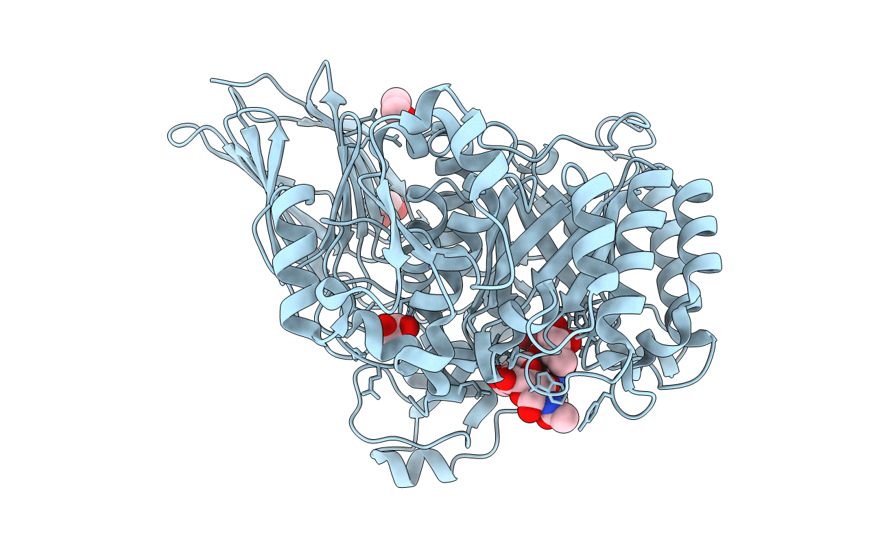 4D6J image