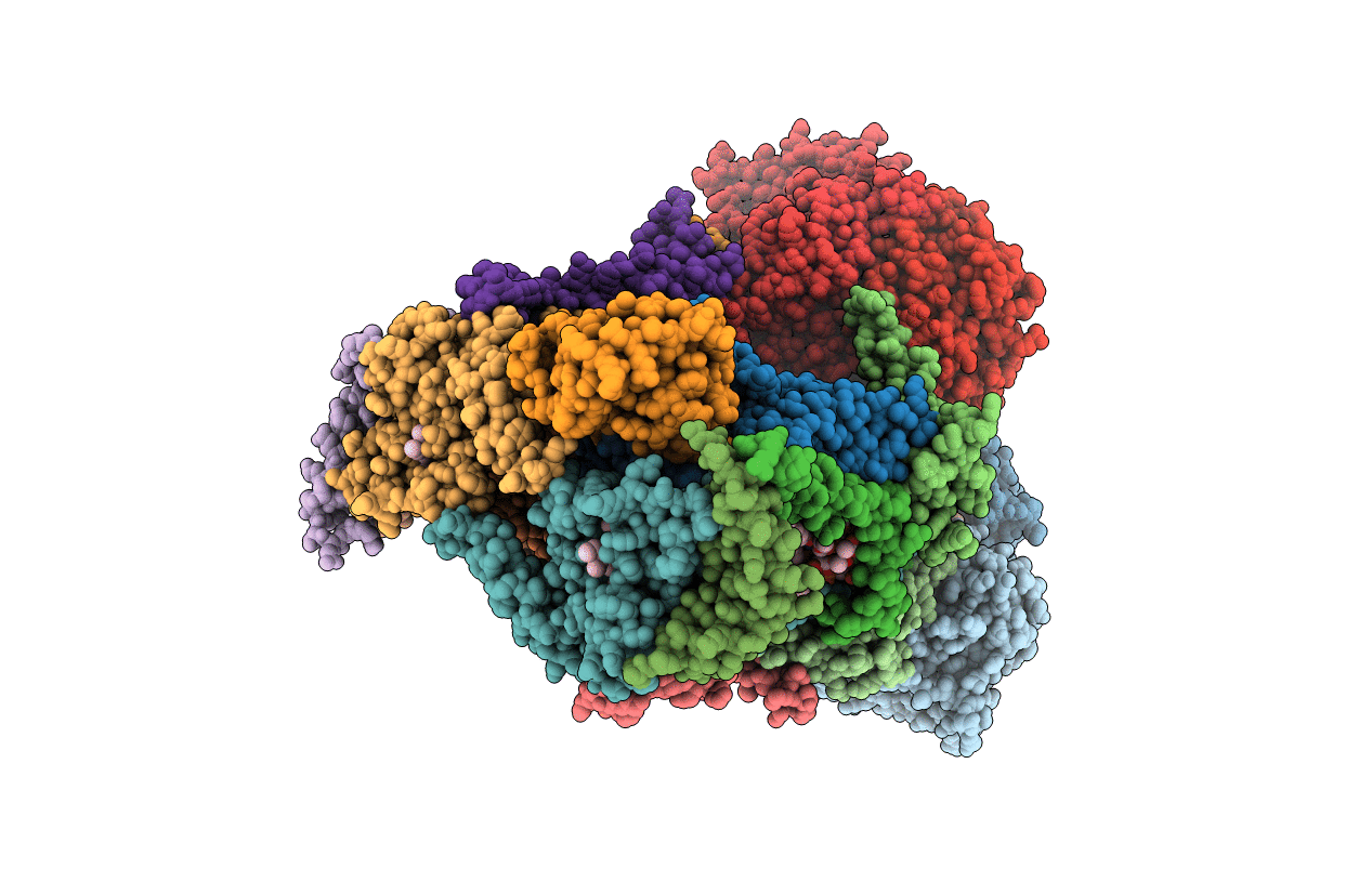 4D6U image