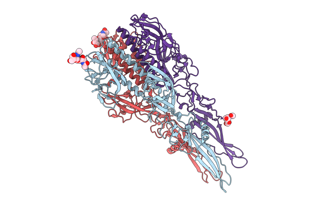 4D6W image