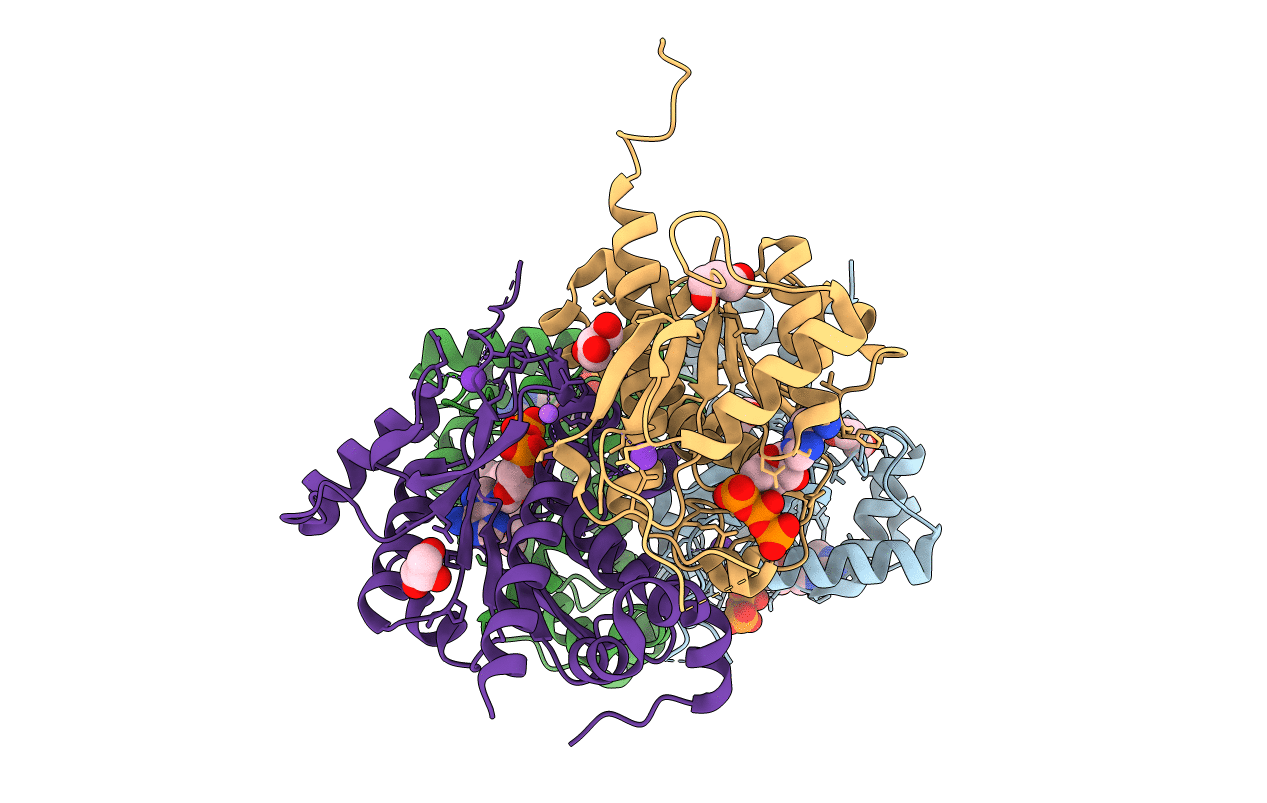 4D79 image