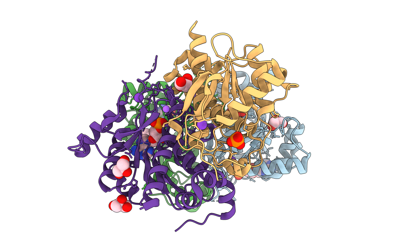 4D7A image