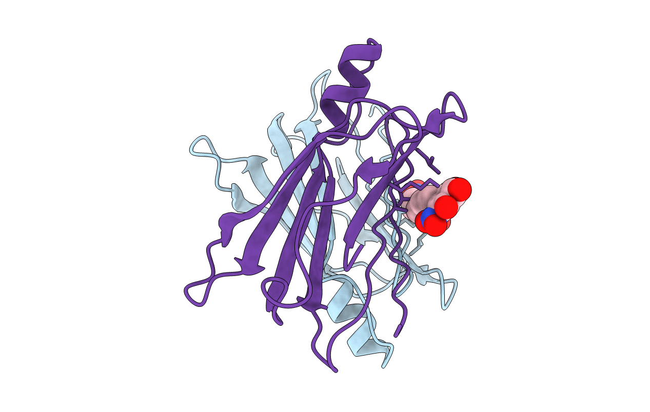 4D7B image