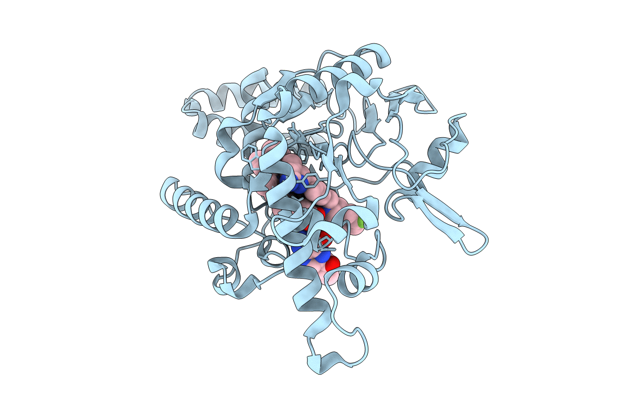 4D7I image
