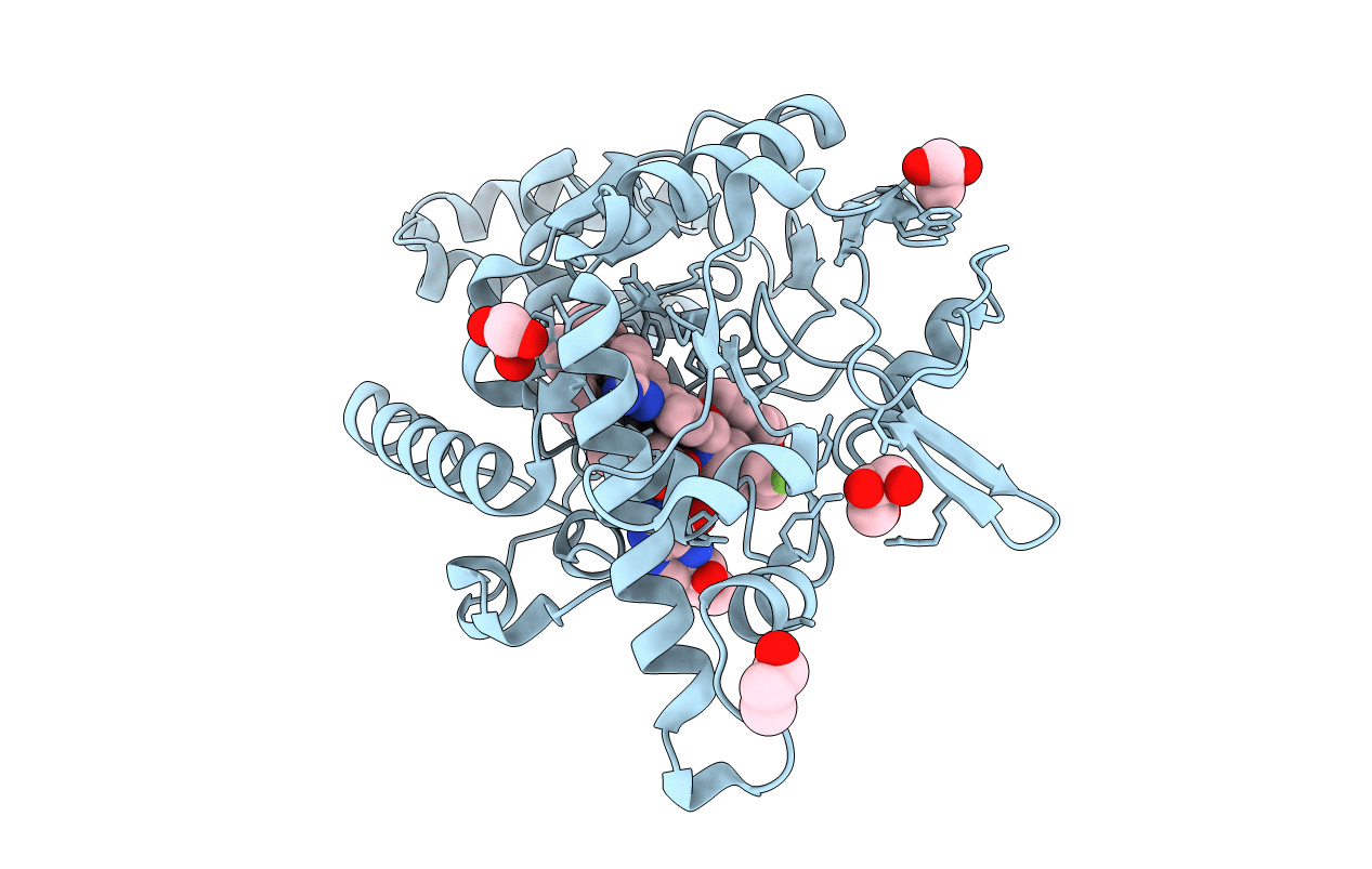 4D7J image