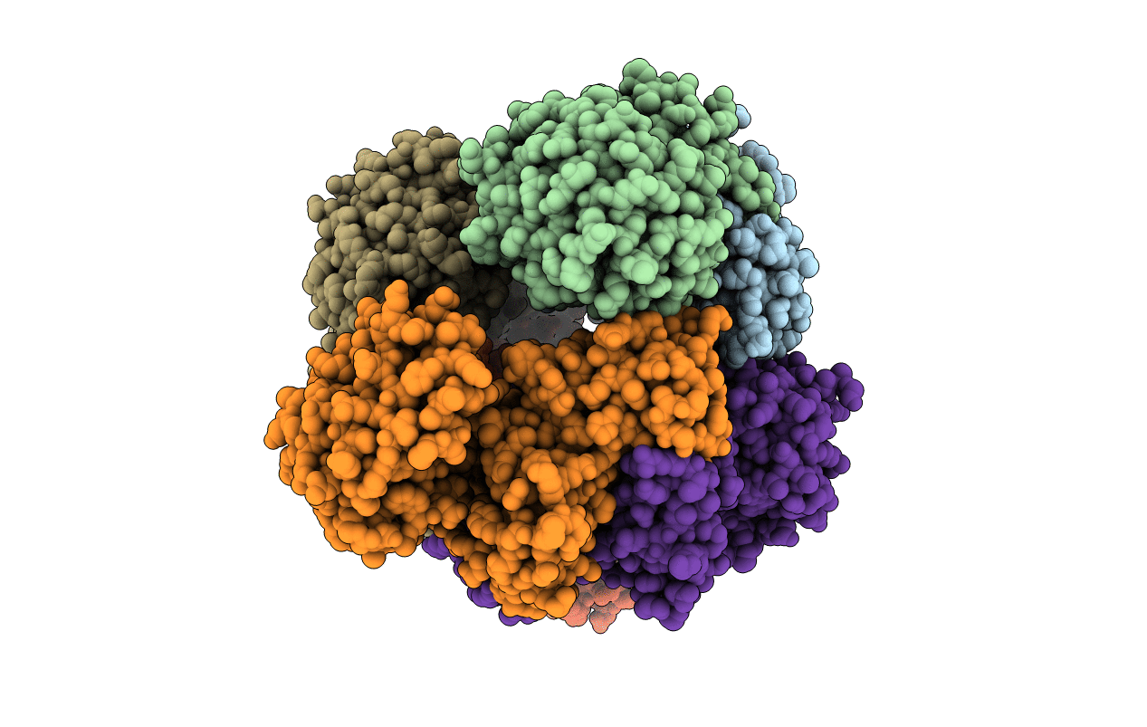 4D7K image