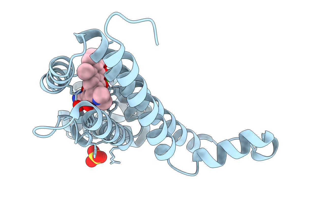 4D7M image