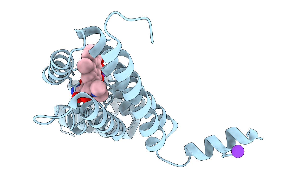 4D7N image