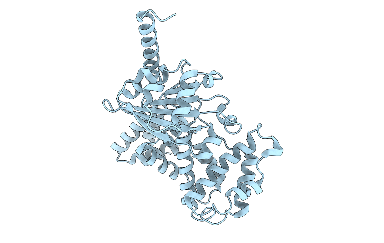 4D7R image