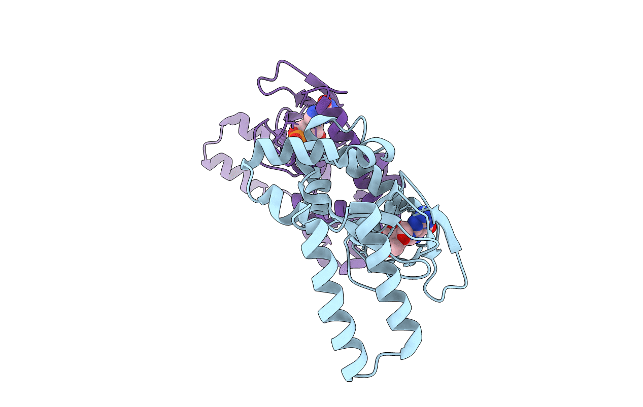 4D7S image