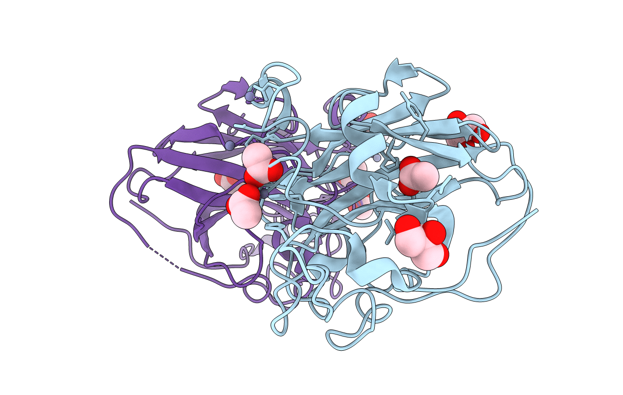 4D7V image