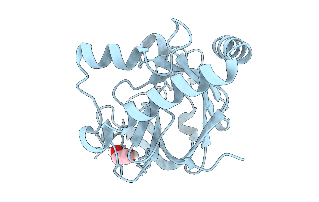 4D7W image