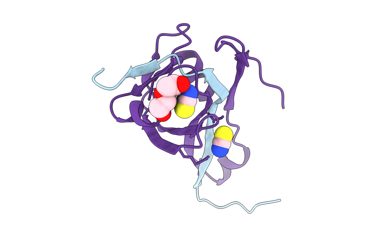 4D7Z image