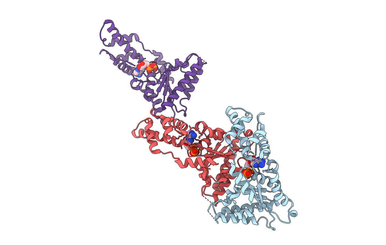 4D82 image
