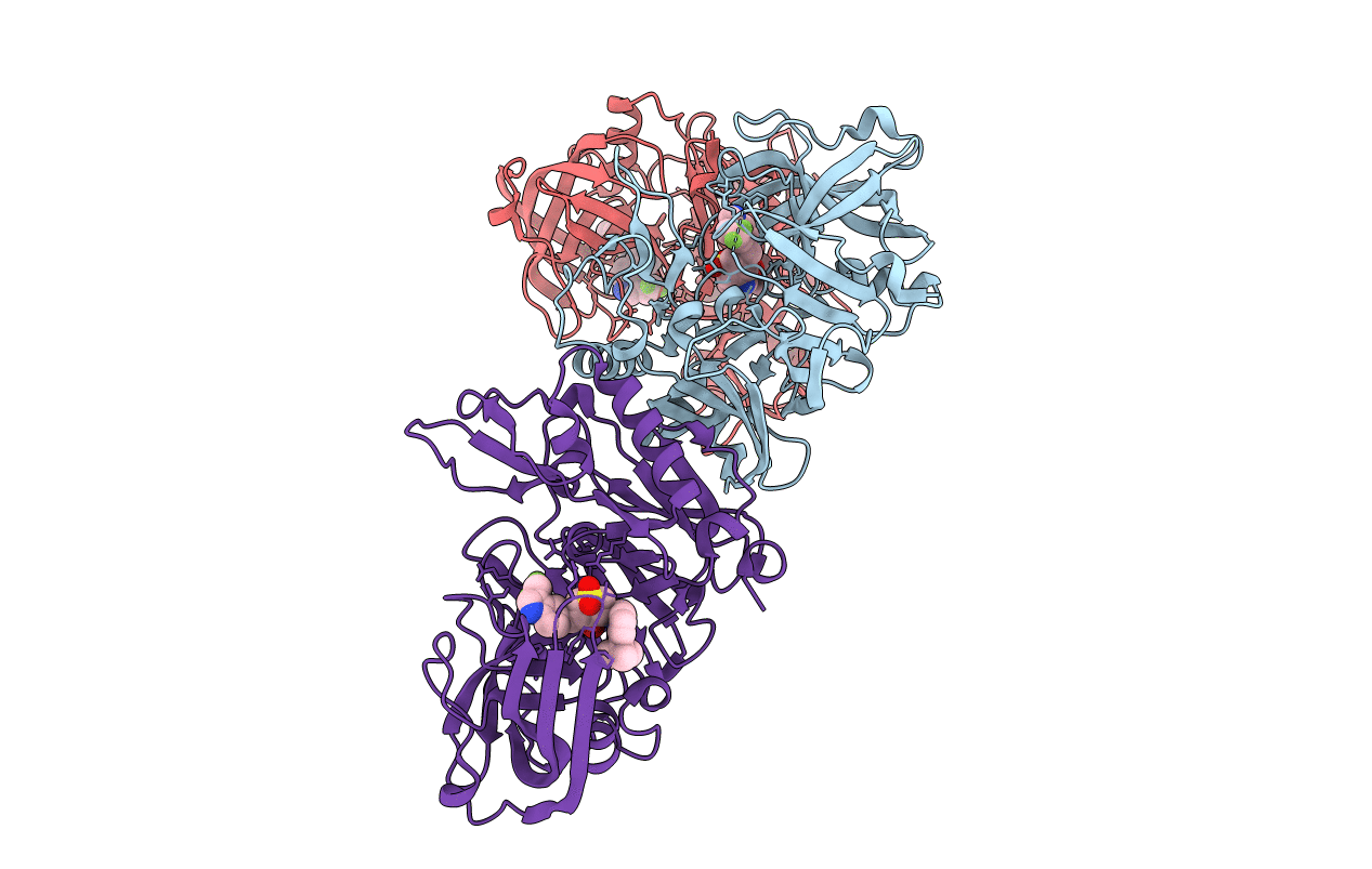 4D83 image