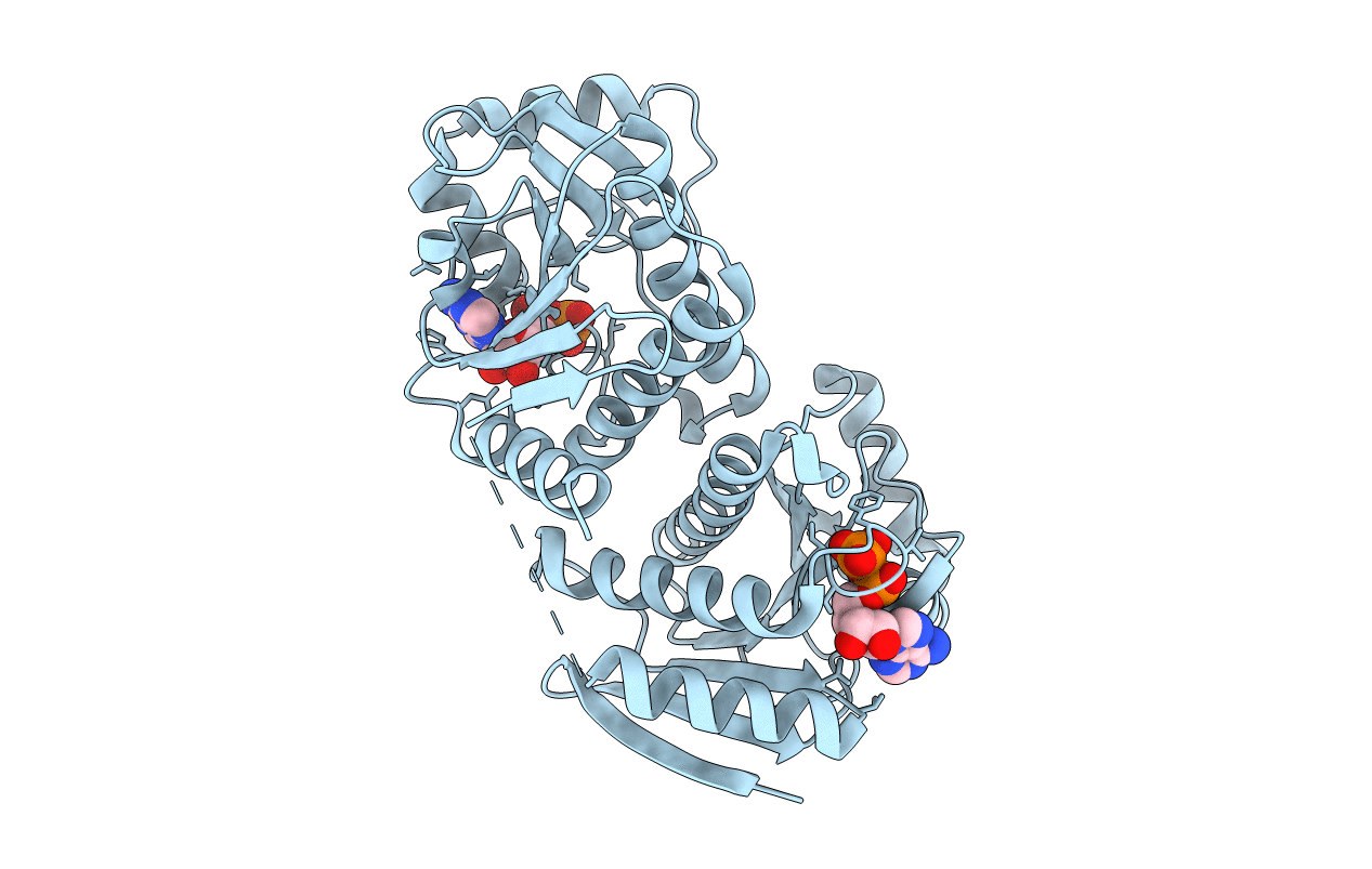 4D86 image