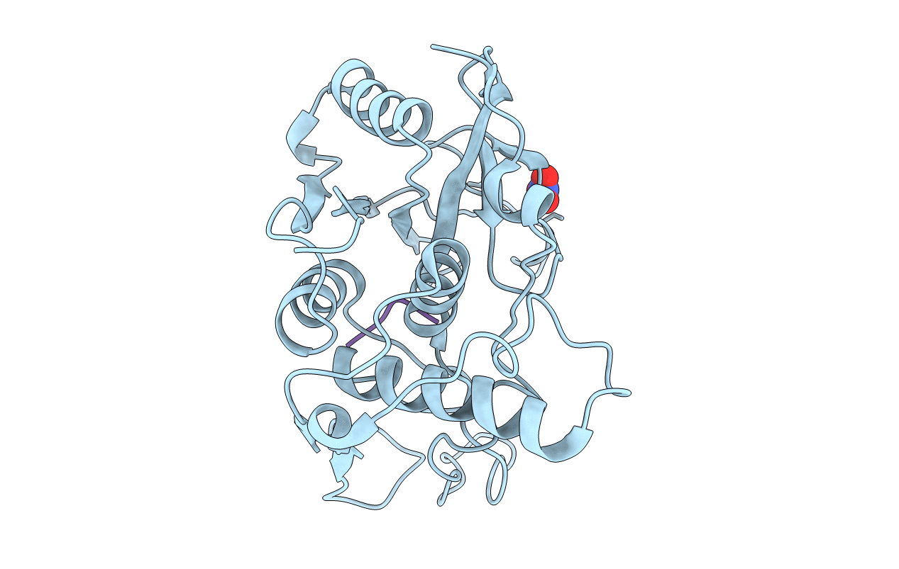 4D8I image