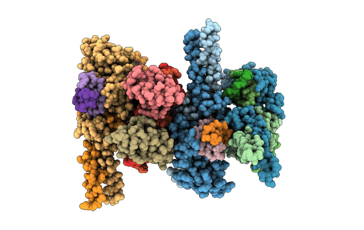 4D8J image