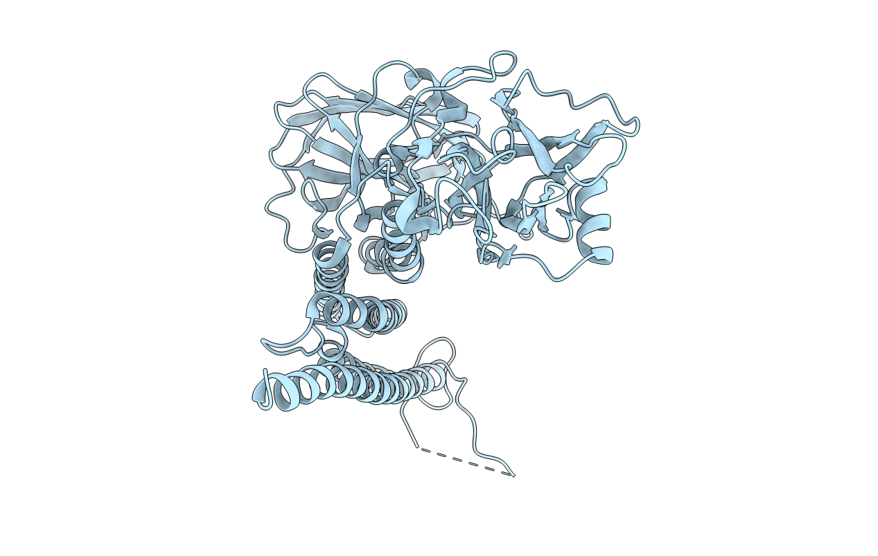 4D8M image