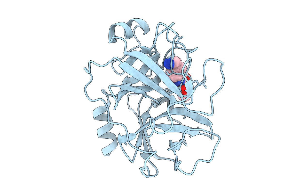 4D8N image