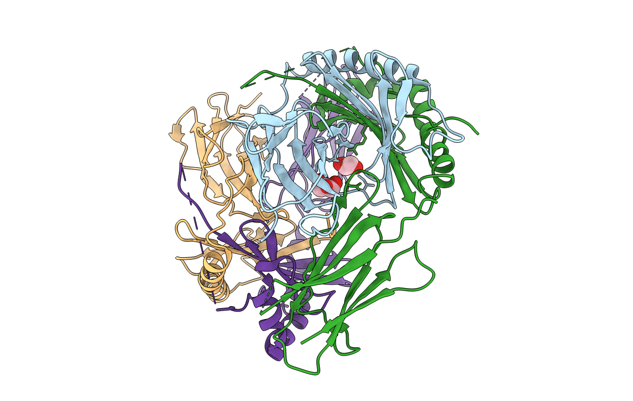 4D8P image