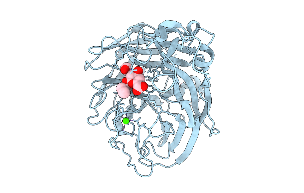 4D8S image