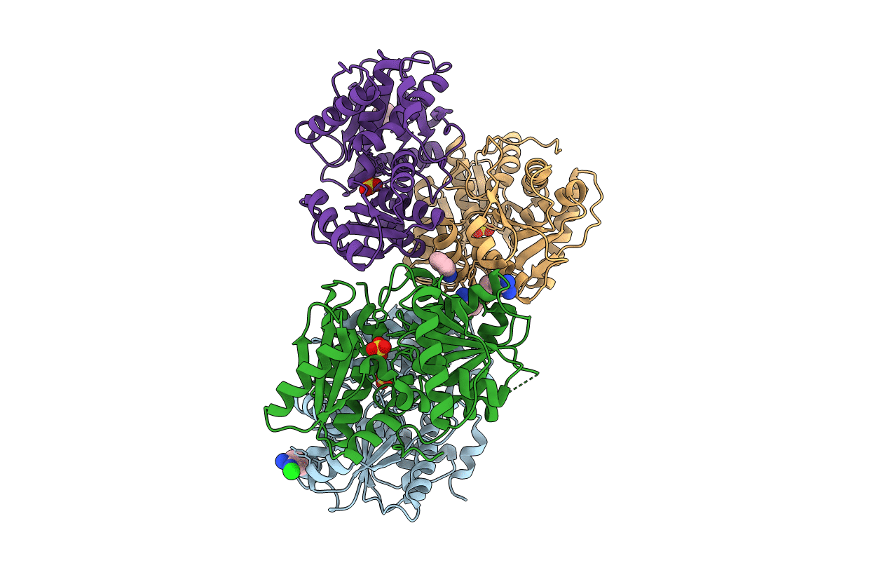 4D8T image