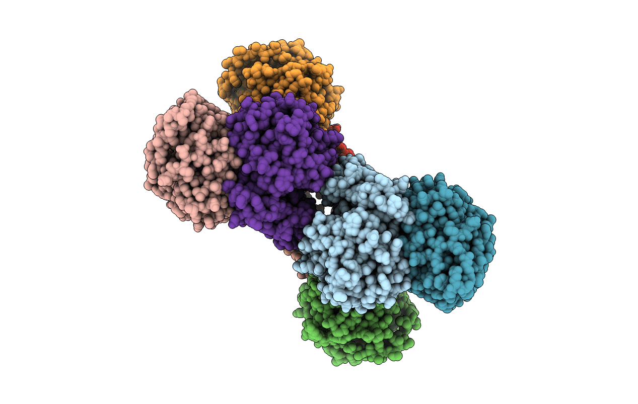 4D8U image