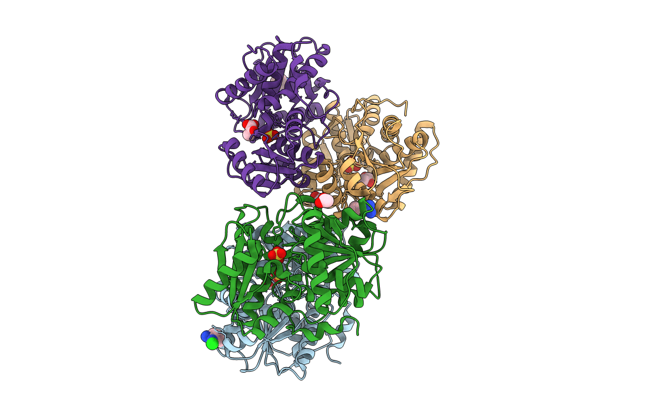 4D8W image