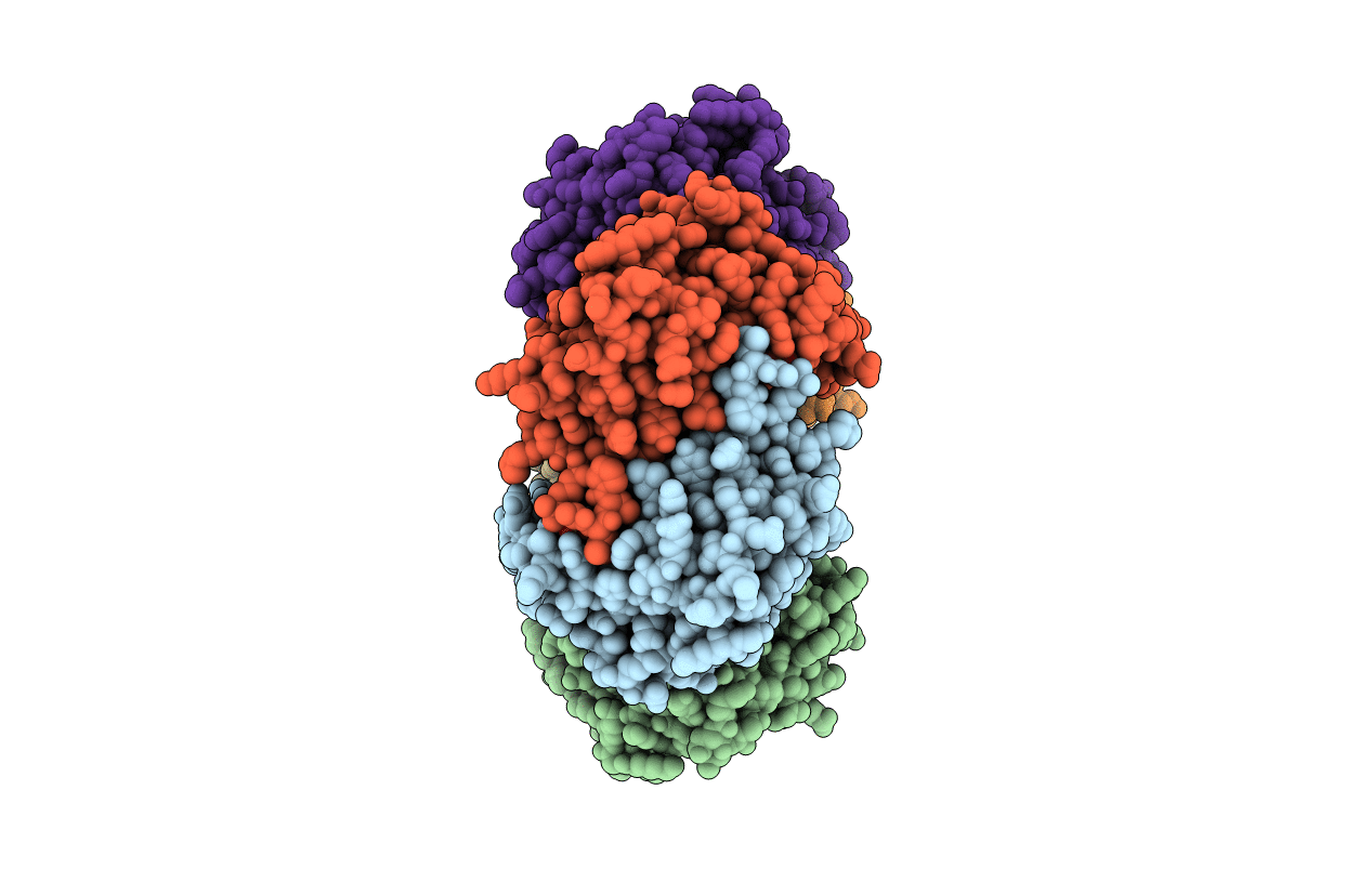 4D8Y image