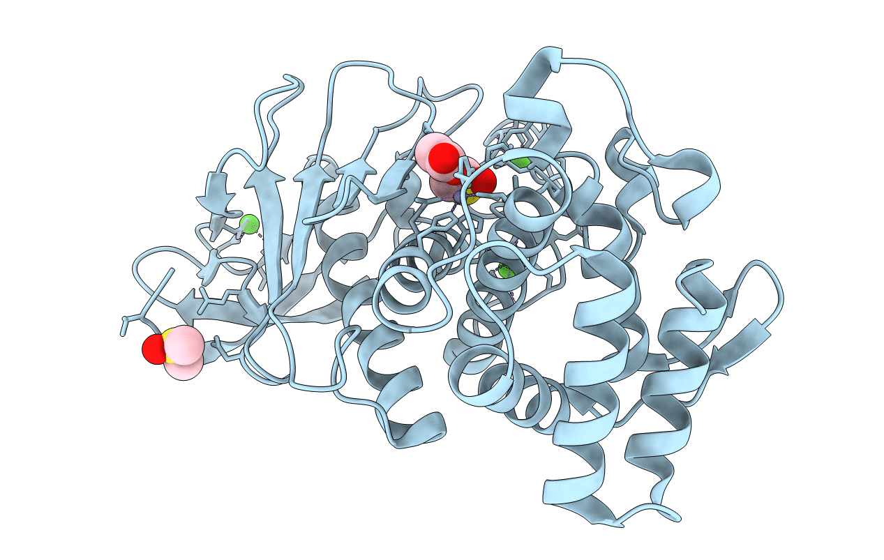 4D91 image