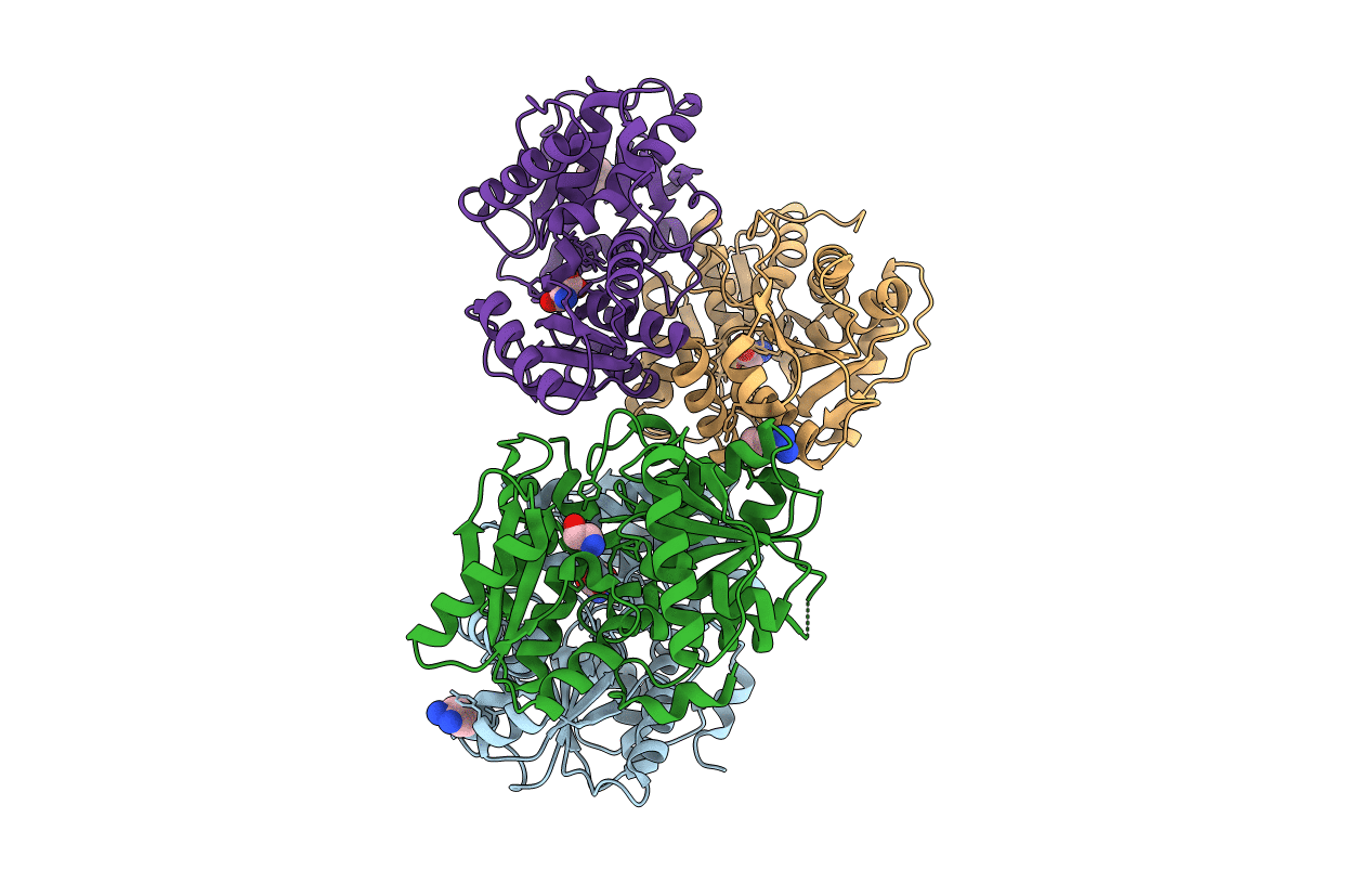 4D97 image