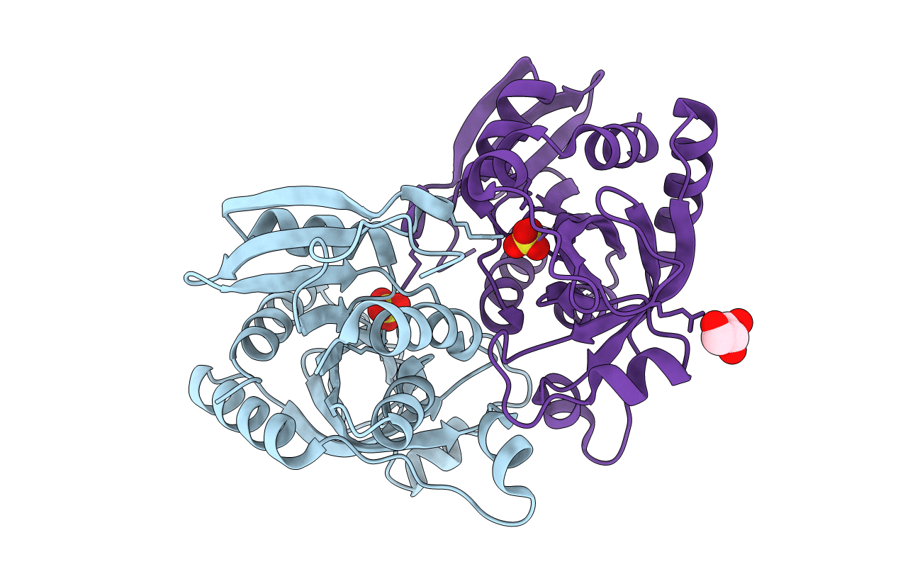 4D98 image