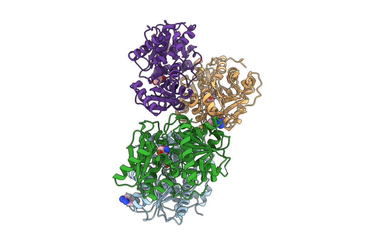 4D99 image