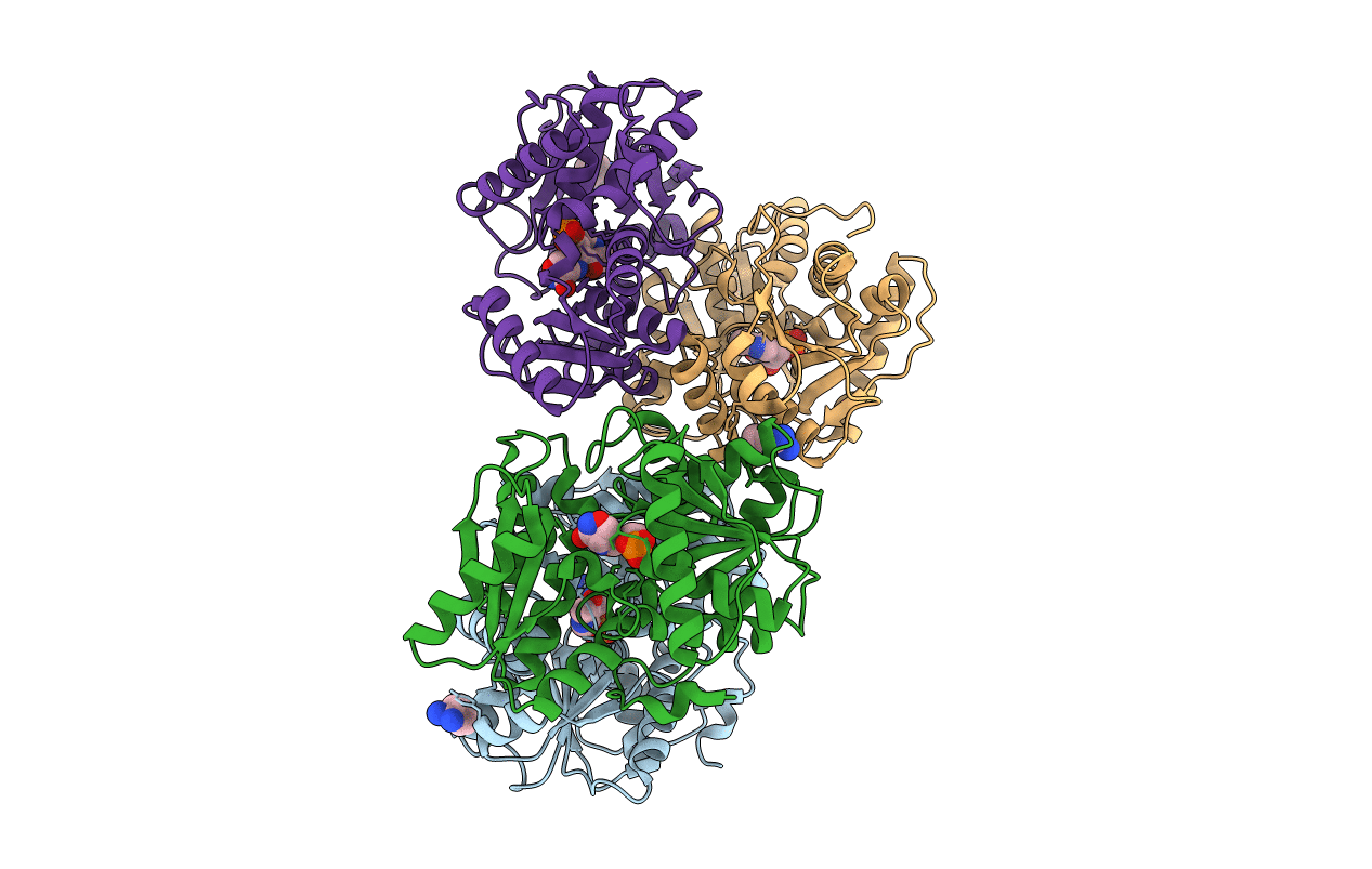 4D9E image