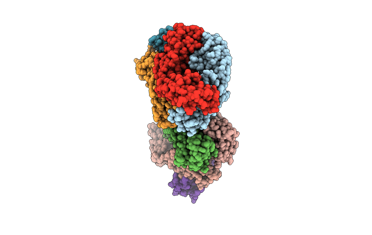 4D9L image