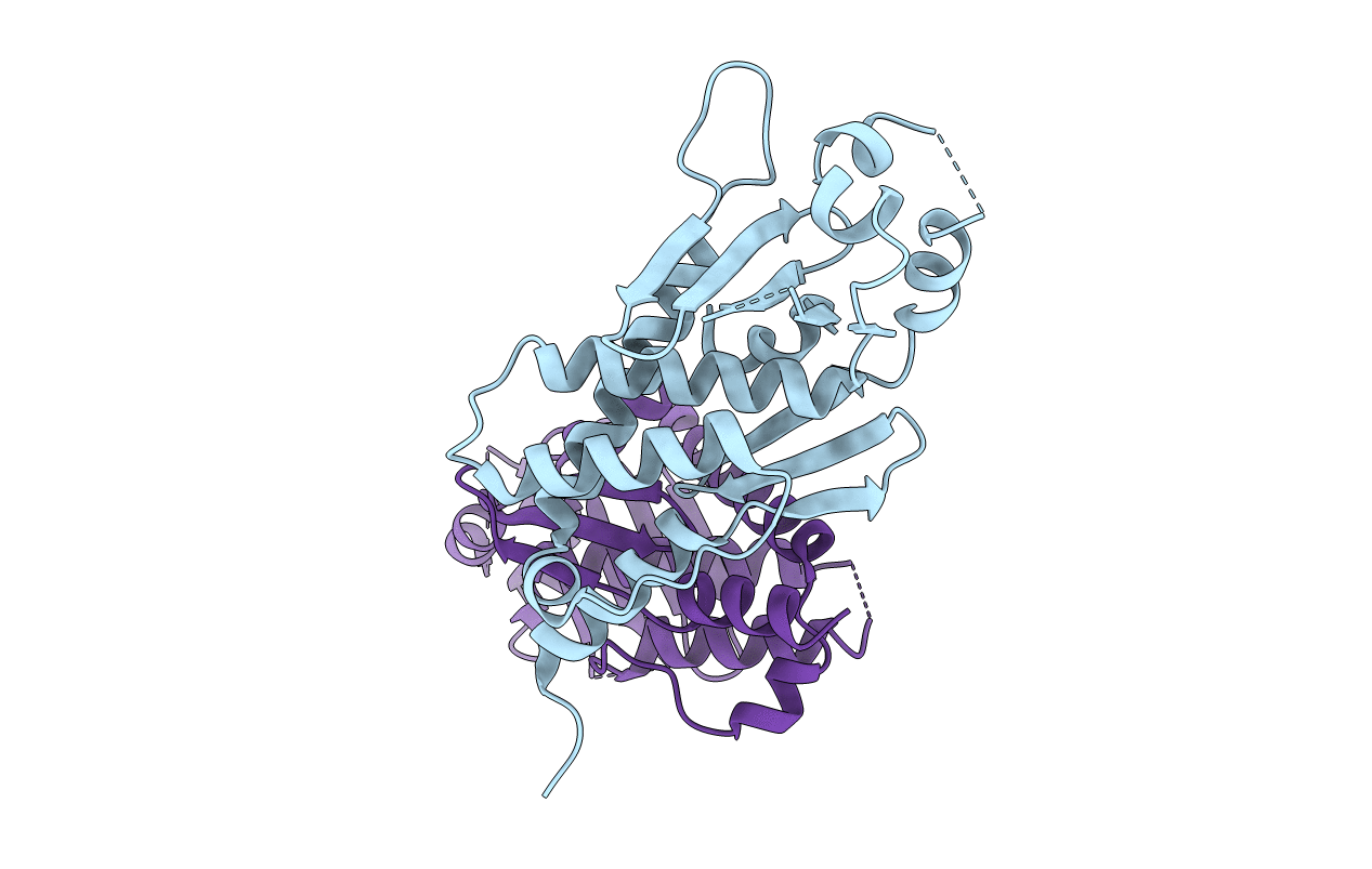 4D9O image