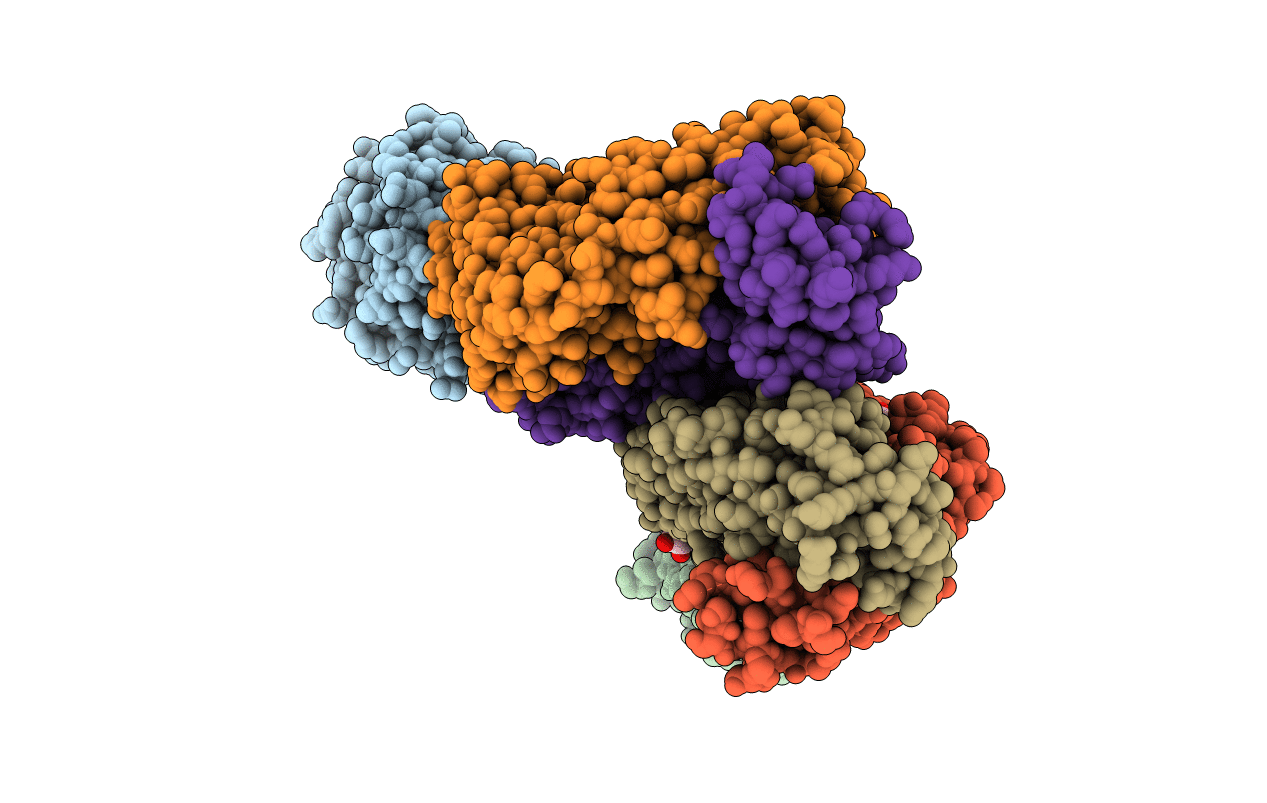 4D9Q image