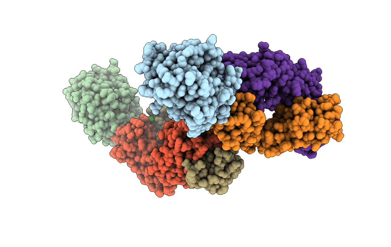 4D9R image