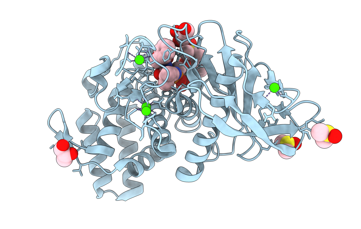 4D9W image