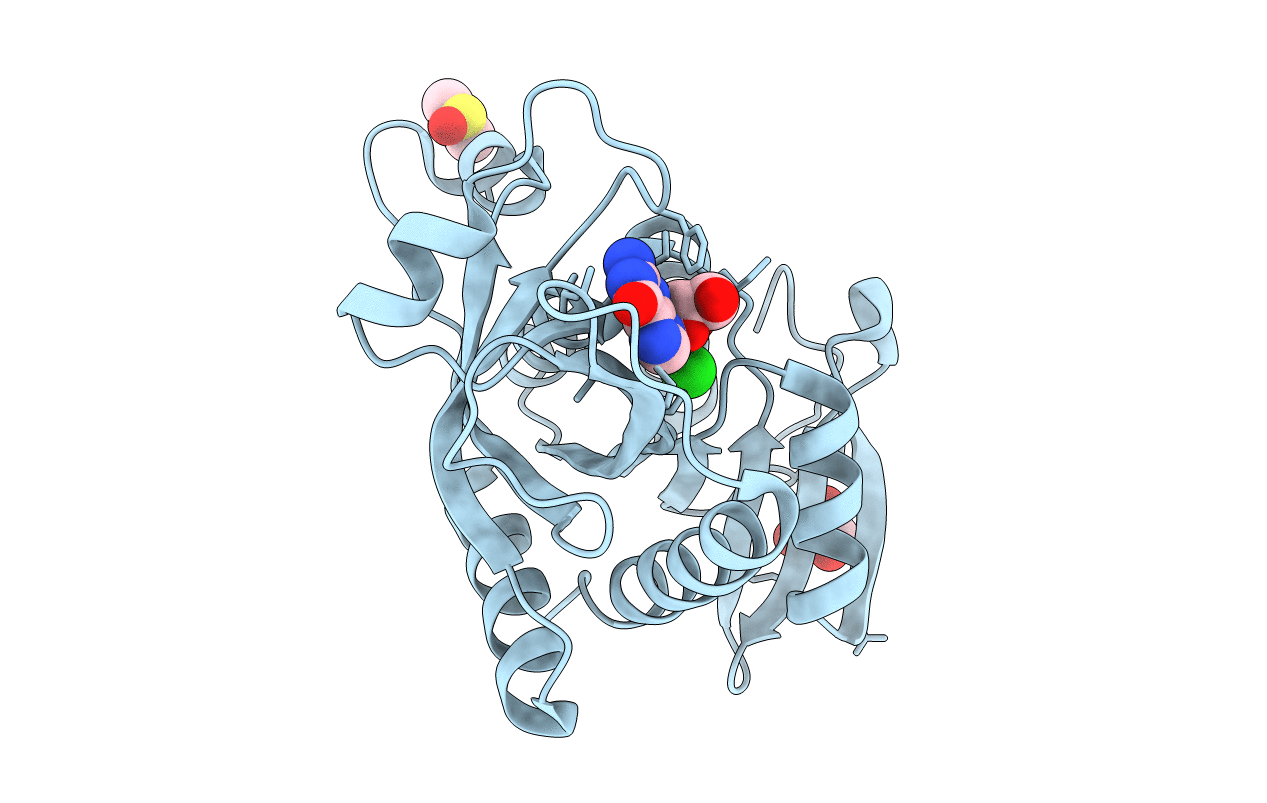 4DA6 image